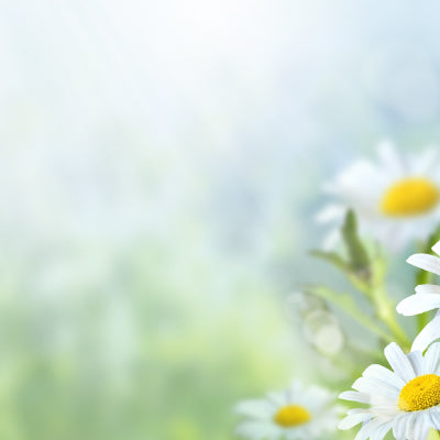 Spring Cleaning...Naturally