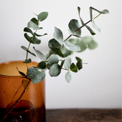 Sustainability Steps