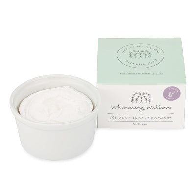 Choosing Solid Dish Soap