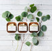 Into the Woods Bar Soap - Whispering Willow