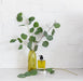 Eucalyptus & Mint Body Oil - Whispering Willow