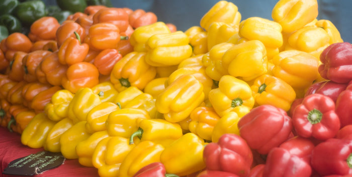 Beautiful: Enjoying St. Pete