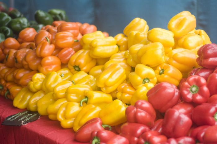 Beautiful: Enjoying St. Pete